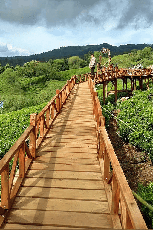Bukit Kuneer